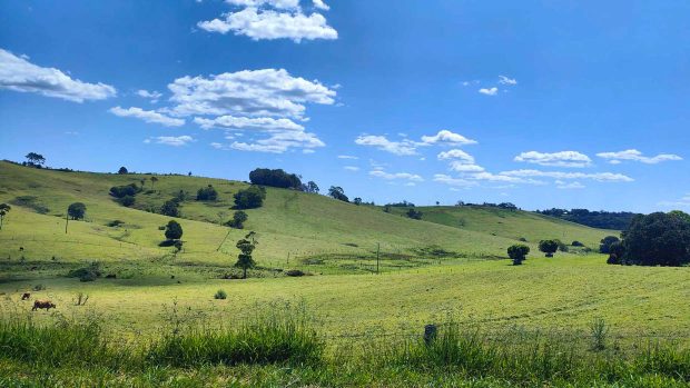 2023 Brisbane DAD conduit le paysage de QLD