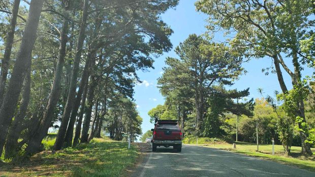 2023 Brisbane DAD en voiture 5