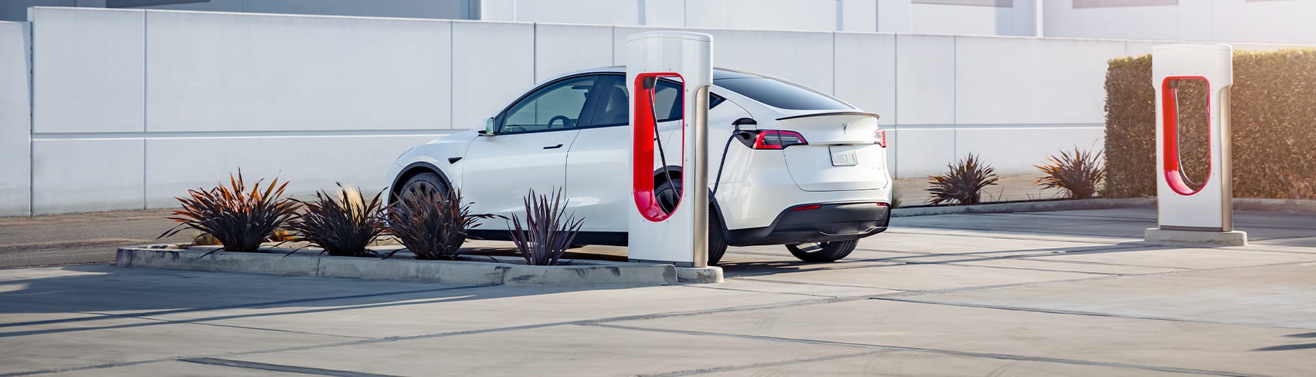 Toyota affirme que la « majorité silencieuse » ne veut pas encore de véhicules électriques, pour une raison clé