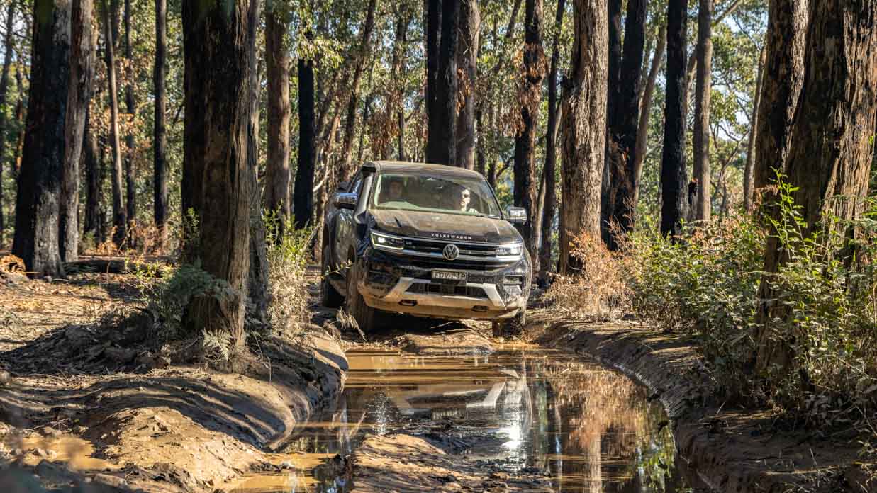 Volkswagen Amarok levé tout-terrain 2024