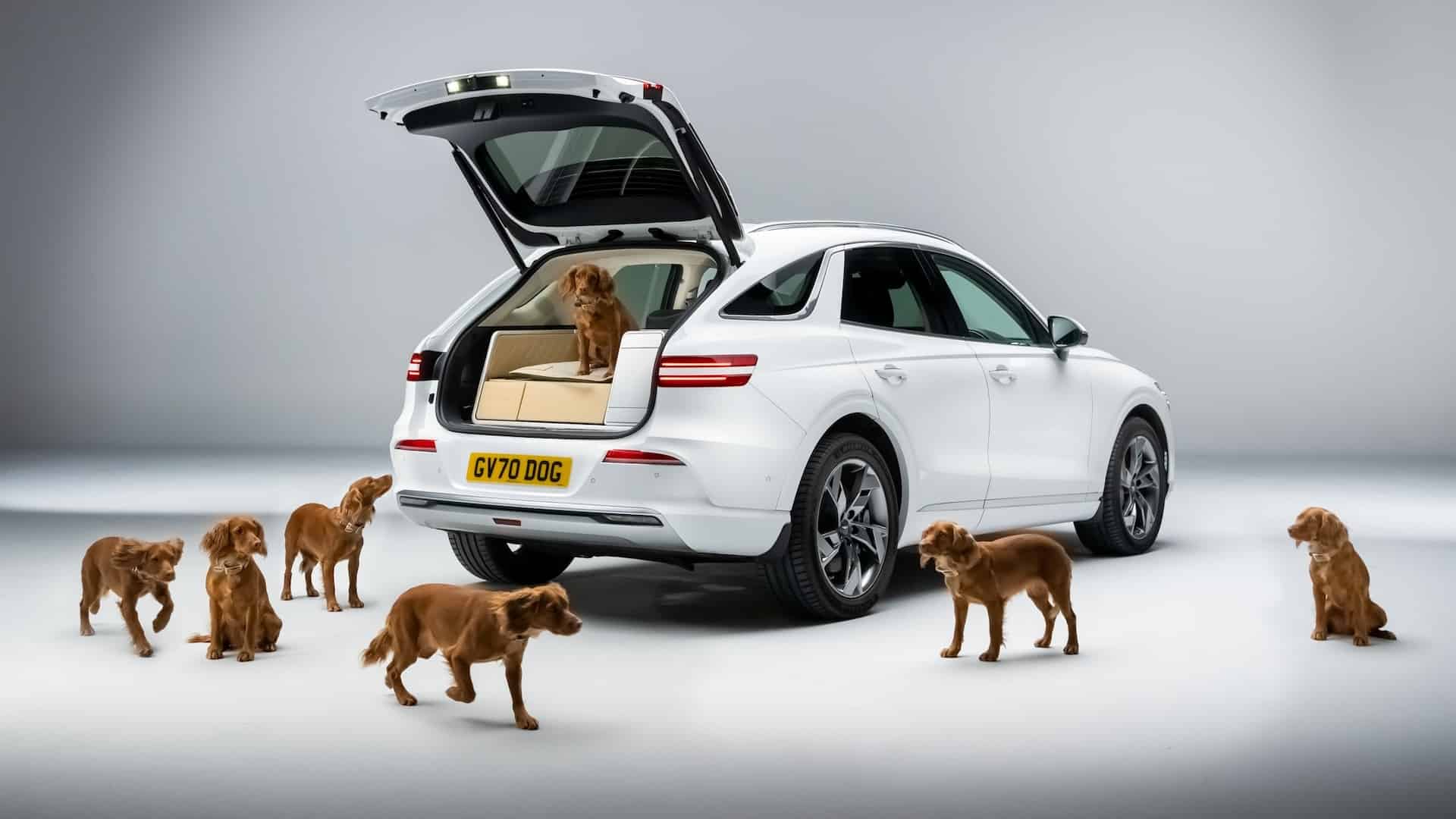 2024 Genesis GV70 Electrified Dog Carrier EV SUV 19
