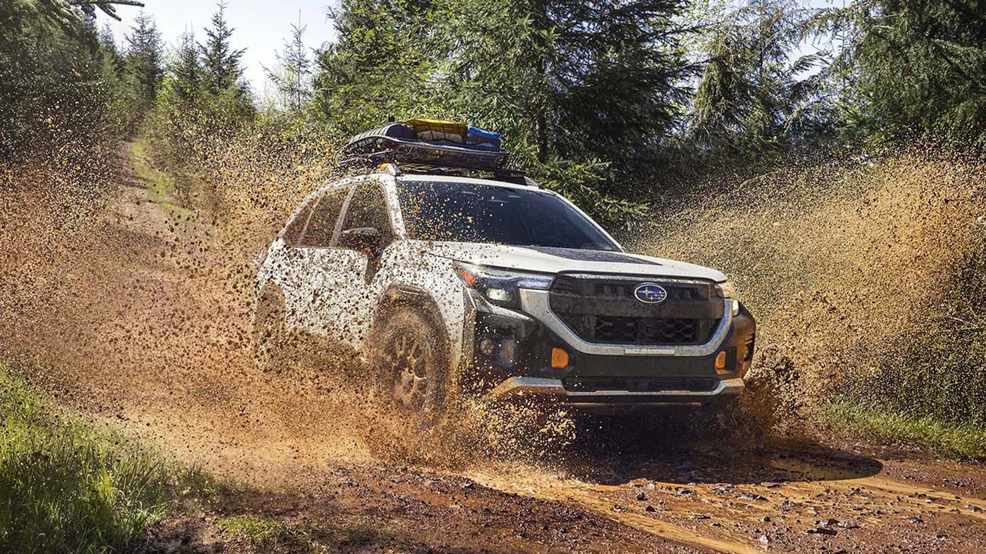 002 2026 subaru forester wilderness