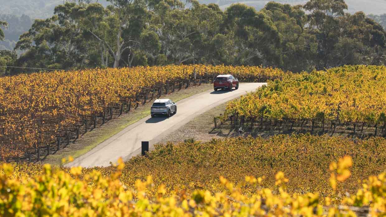 Volkswagen Tiguan 2025 conduite
