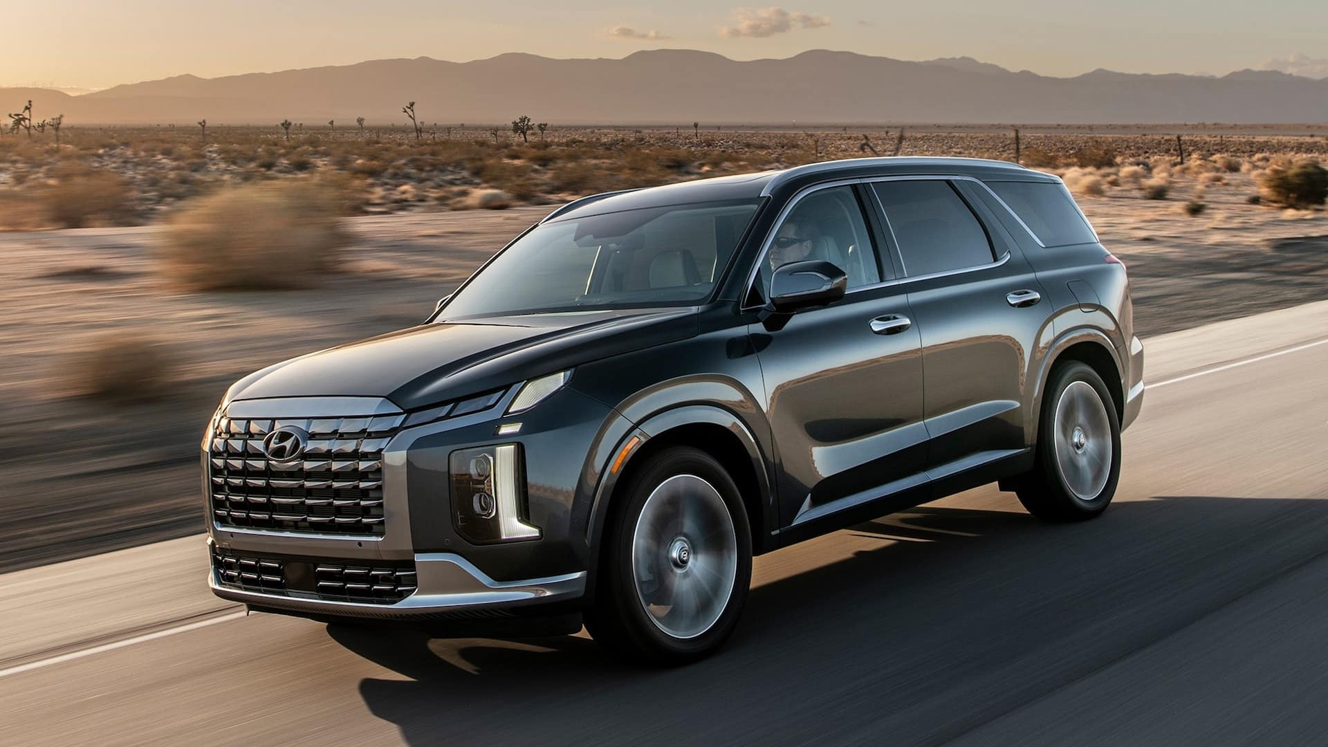 Large 62074 2025Palisade